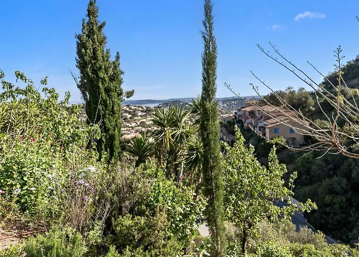 Dolce C7 Sainte-Maxime